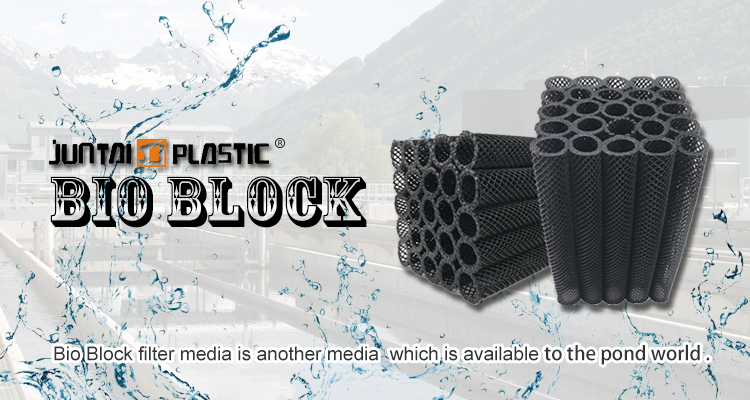 product-1-1 202106231347149295277