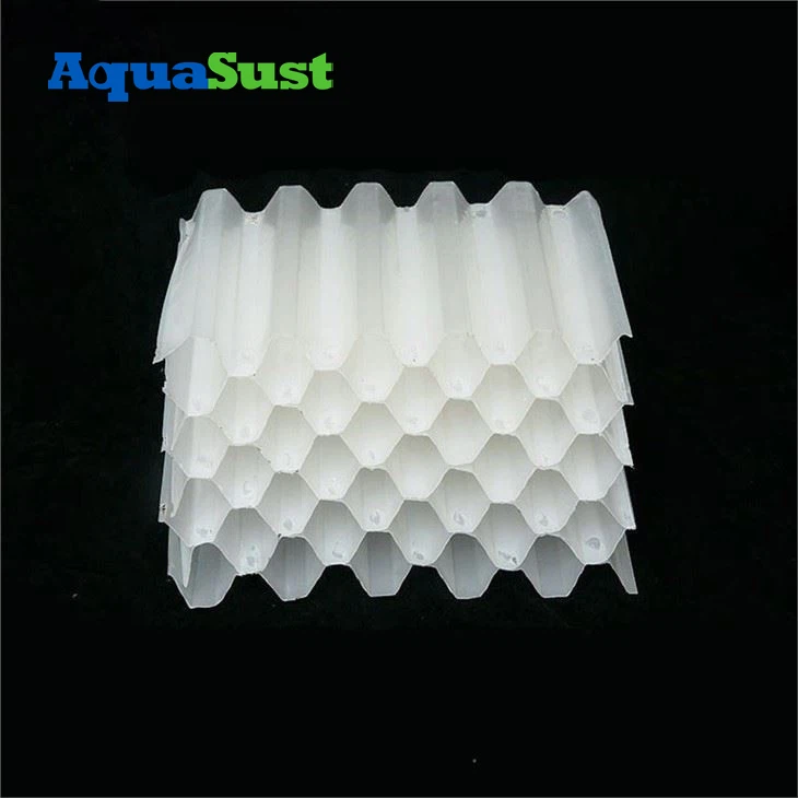 PP định cư ống