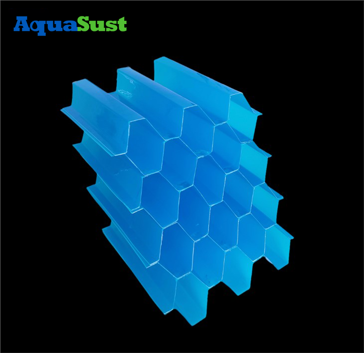 Tấm định cư ống